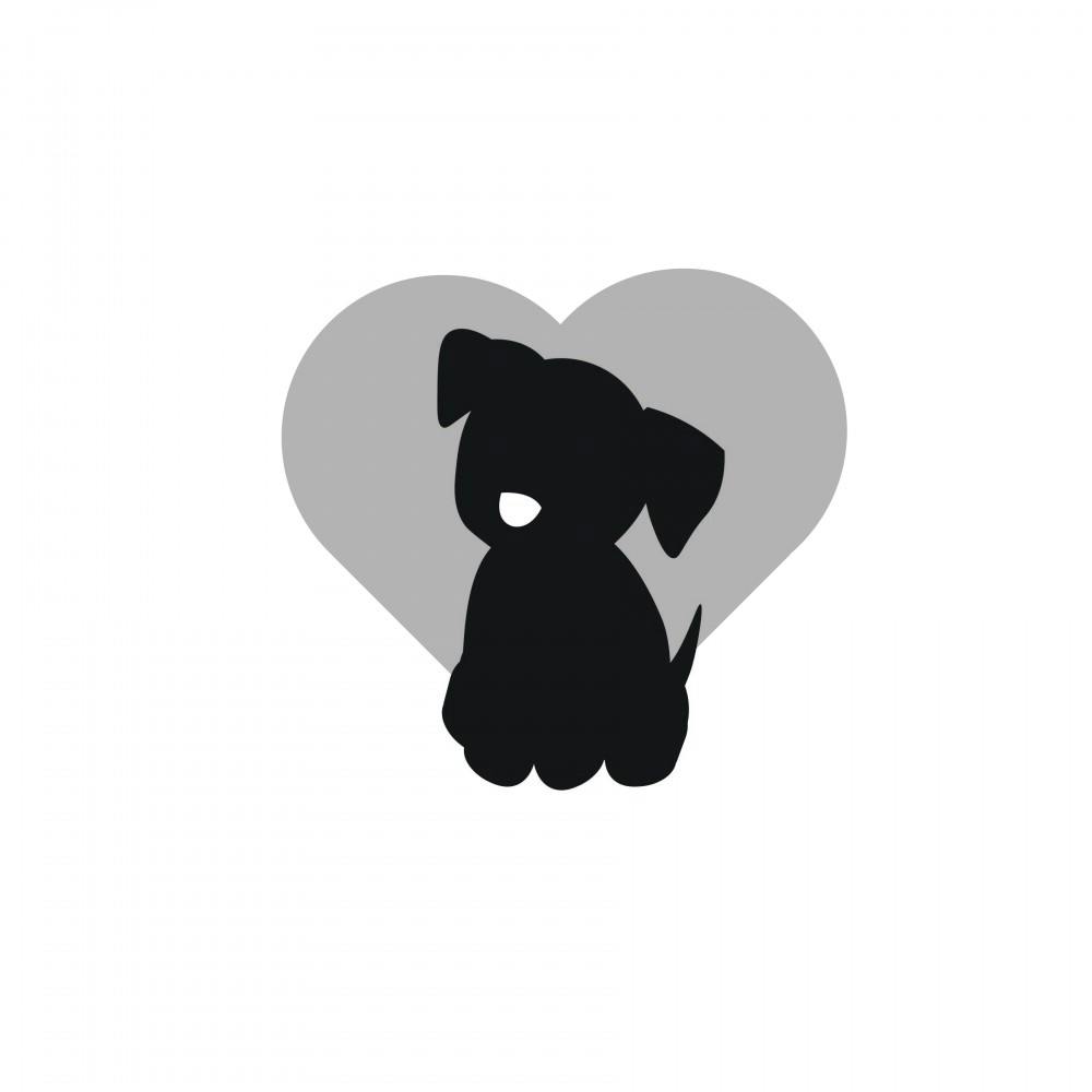 For only five dollars, you can pet pups and take Instagram photos to your heart’s delight.