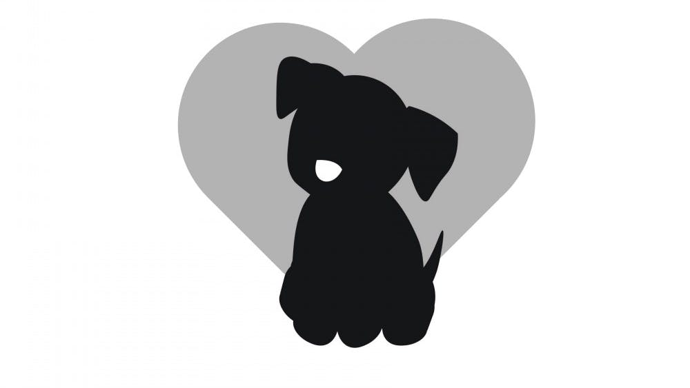 For only five dollars, you can pet pups and take Instagram photos to your heart’s delight.