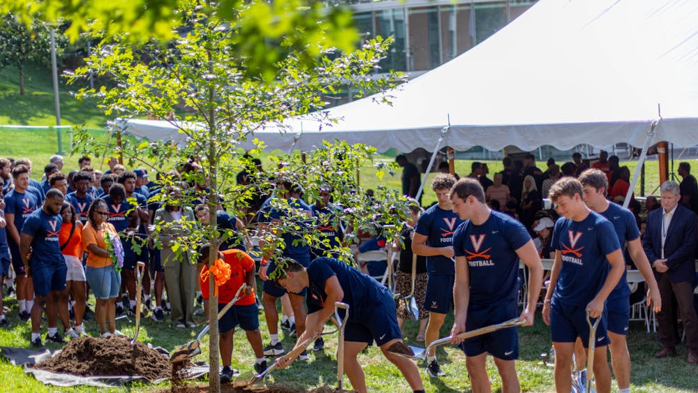 Everyone in attendance was invited to add a shovelful of dirt to the tree, starting with University President Jim Ryan, Director of Athletics Carla Williams and Board of Visitors Rector Robert Hardie