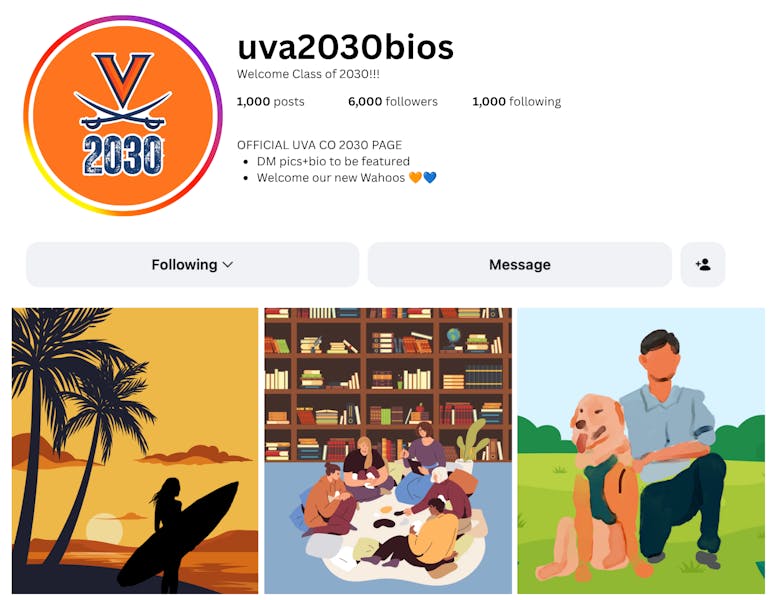 How to craft the perfect U.Va. 2030 Instagram post – The Cavalier Daily