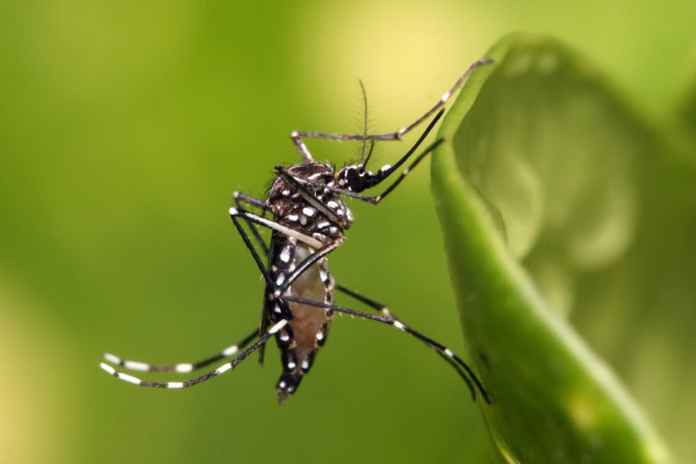 Zika &mdash; a mosquito-carried virus which has broken out in South and Central America and the Caribbean &mdash; has been linked to the microcephaly, or the development of small brains or heads in infants if the virus is contracted by pregnant women.