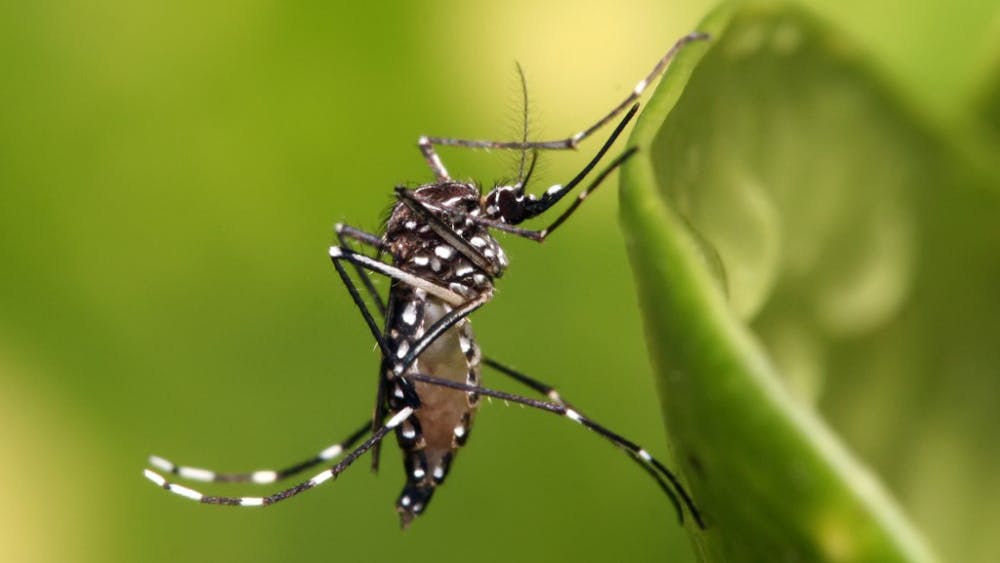 Zika &mdash; a mosquito-carried virus which has broken out in South and Central America and the Caribbean &mdash; has been linked to the microcephaly, or the development of small brains or heads in infants if the virus is contracted by pregnant women.