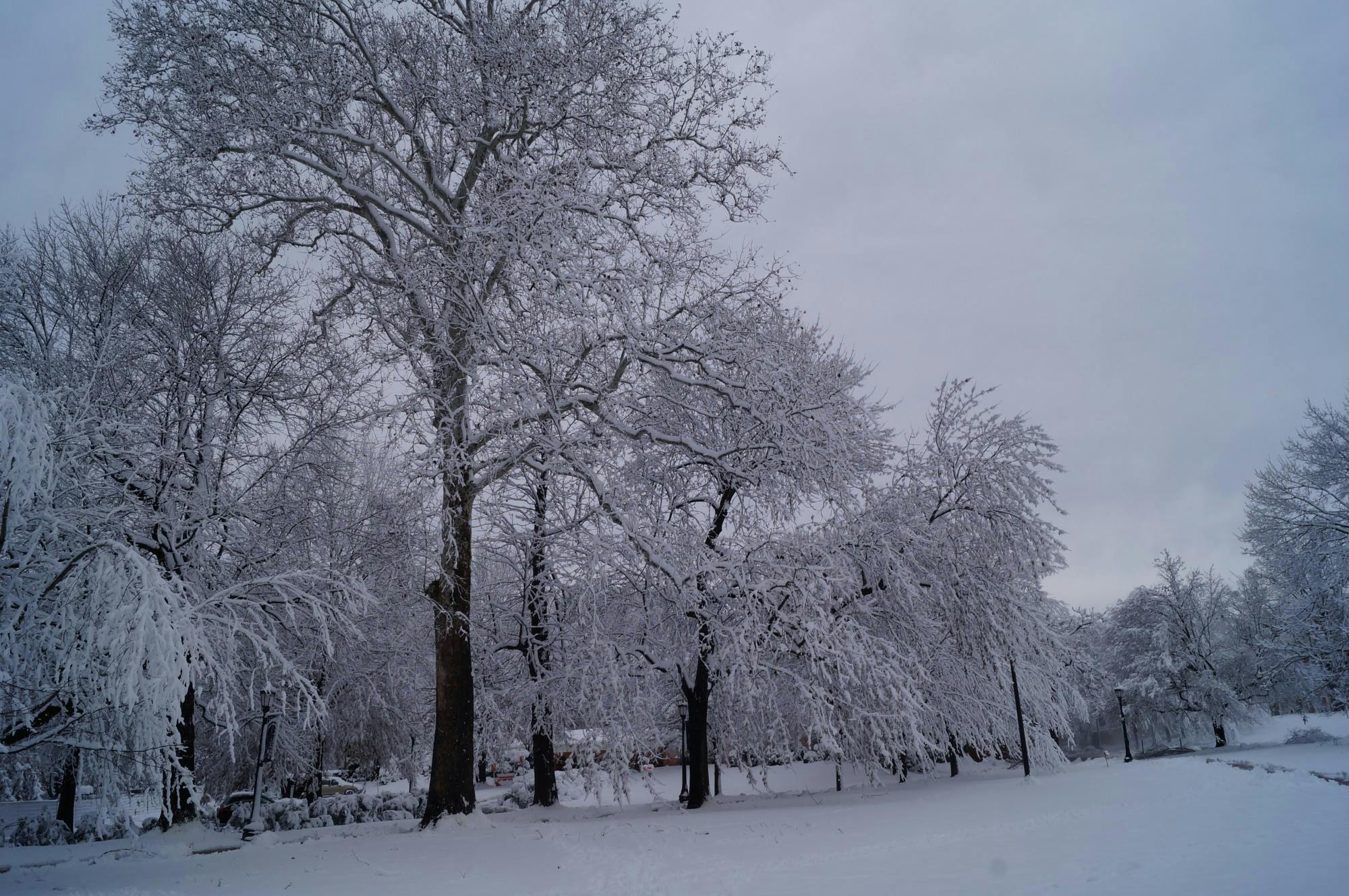 Without a doubt, these vocals are ones you’ll want to reverberate against bedroom walls while escaping the cold.