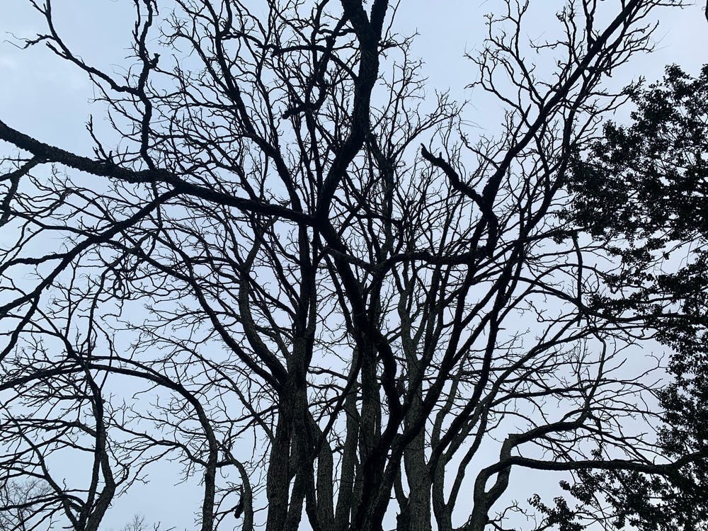 我被迫从弗大退学，不知道自己是否会被另一所学校录取；我也不知道如果能被再次录取，我是否还能重返大学校园。与此同时，性侵我的人从弗大顺利毕业。