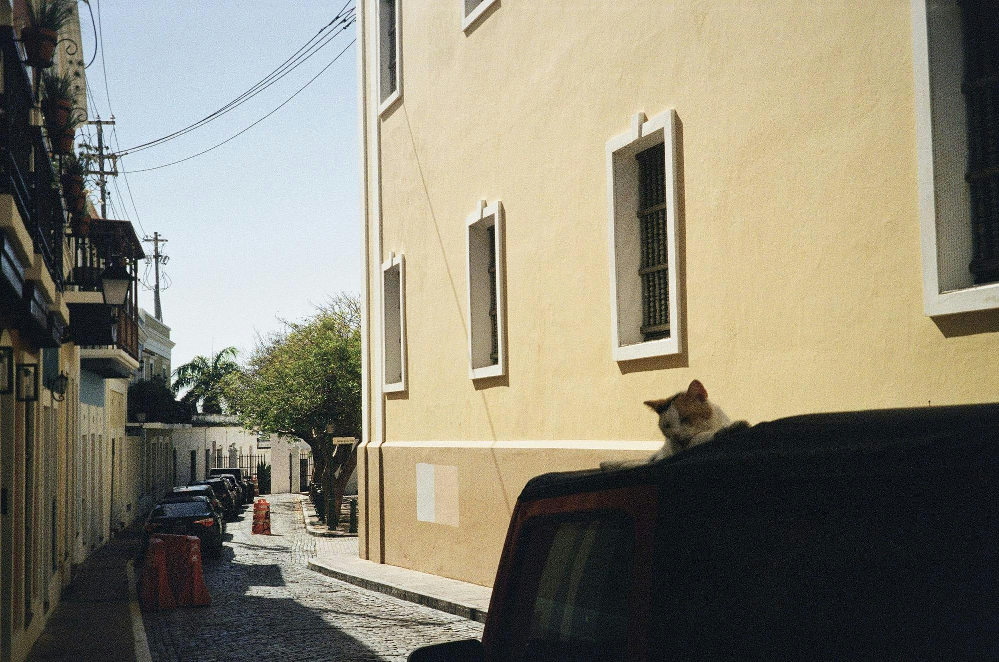 img-6958