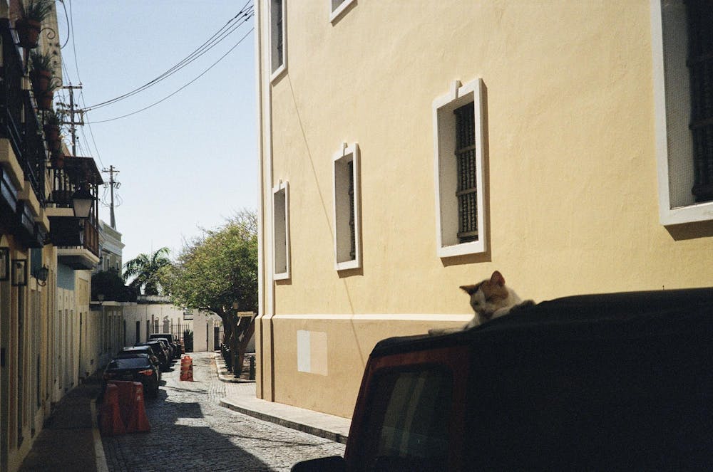 img-6958