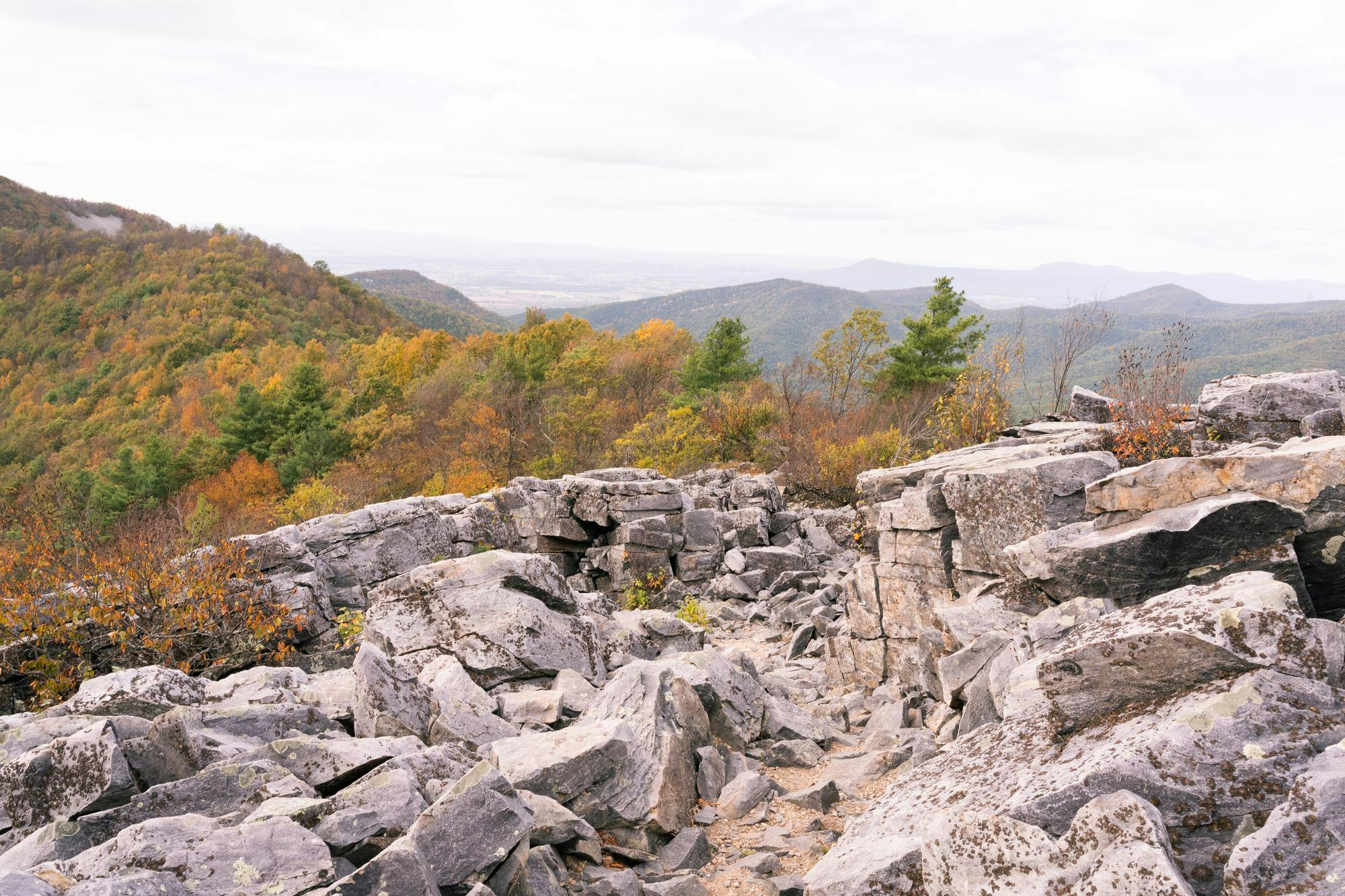 Skyline Drive, only a short drive from the University, traverses the entire length of the Shenandoah National Park. This unmatched accessibility offers connections to a multitude of scenic lookouts, trail systems and wildlife habitats for students to enjoy.