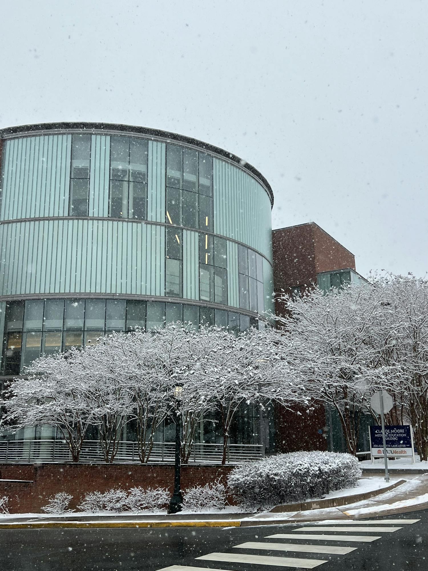 These directives lie in clear opposition to the official recommendations of national medical bodies like the American Academy of Pediatrics and the American Medical Association.