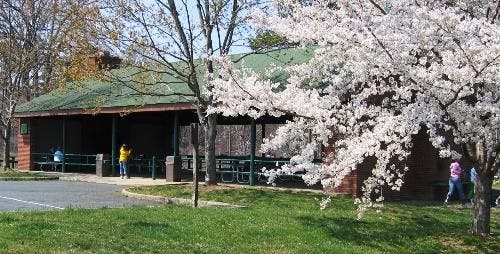 Daly said the plan adds many new features to the park, including botanical garden areas, trails, a skate park and the official codification of the long-standing Dogwood Vietnam Memorial.