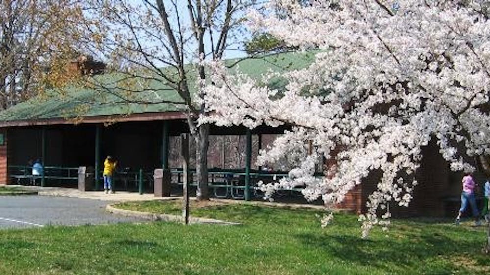 Daly said the plan adds many new features to the park, including botanical garden areas, trails, a skate park and the official codification of the long-standing Dogwood Vietnam Memorial.