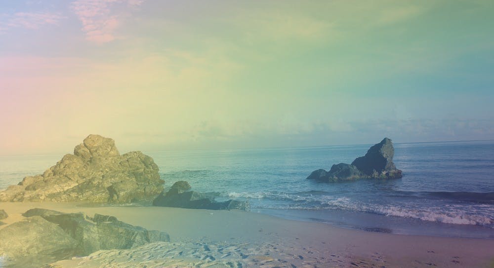 The most recent season of "Bachelor in Paradise" saw the franchise's first gay couple find love at the Playa Escondida Resort in Sayulita, Mexico.&nbsp;