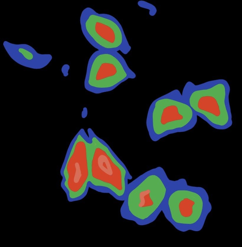 Now, this finding allows researchers in a wide breadth of disciplines — including biology, immunology and neuroscience — to rapidly red-shift biosensors for their own research needs.&nbsp;