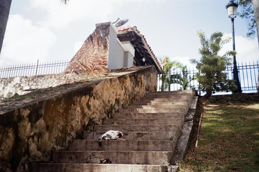 img-6915