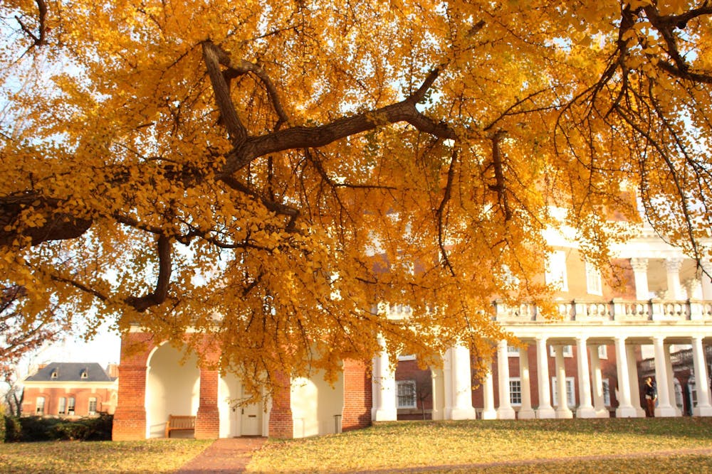 For this reason, we endorse the Faculty Senate’s call for the Rector’s and Vice Rector’s immediate resignation. There is no way the University can move forward in a productive way so long as they are at the helm.