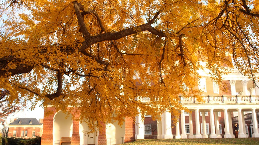 For this reason, we endorse the Faculty Senate’s call for the Rector’s and Vice Rector’s immediate resignation. There is no way the University can move forward in a productive way so long as they are at the helm.