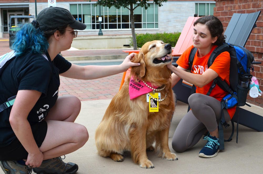 Students had the chance to meet Cav Man and April Sweetie, a golden retriever and therapy dog for U.Va. Health. 