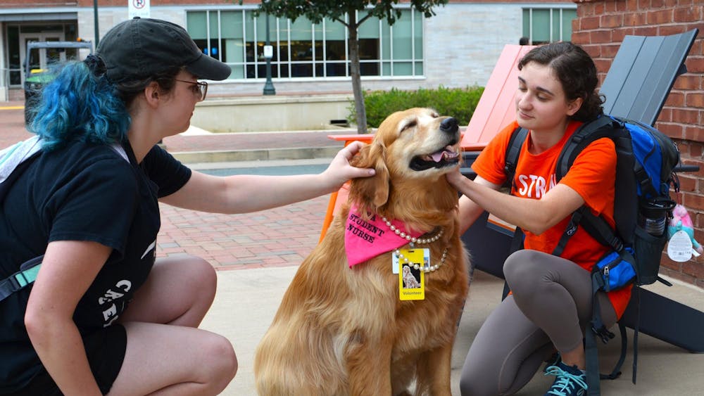 Students had the chance to meet Cav Man and April Sweetie, a golden retriever and therapy dog for U.Va. Health.