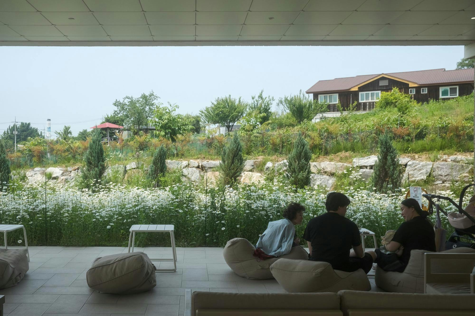 Editor’s Note: This gallery is part of a summer series from The Cavalier Daily photo desk staff. Over the course of the summer, photo staffers will craft galleries which capture moments from different places in Charlottesville and beyond.Launch the gallery to see cafés in Cheonan, South Korea, a city known for walnut pastries (hodu-gwaja) and calm, nature-inspired coffee shops. With open spaces, fresh drinks and greenery throughout, these cafés offer a quiet escape from the city.