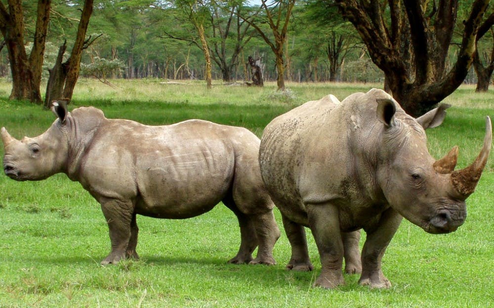 The populations of millions of organisms would benefit from domestication.&nbsp;