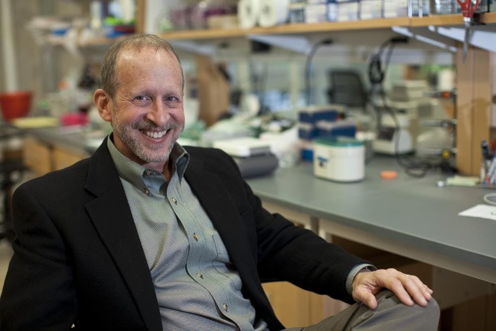 Bloom’s lab reveals how certain proteins in the brain play a key role in Alzheimer’s dementia.