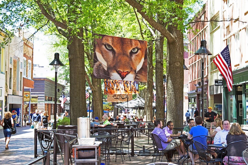 Several exhibits and installations are on display throughout the City, including on the Downtown Mall.&nbsp;