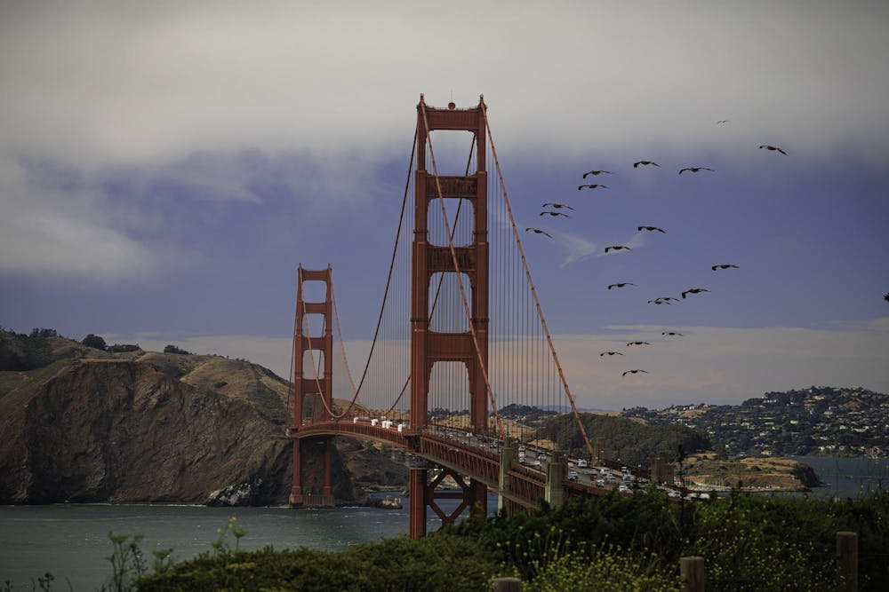 20250724-mg-7019