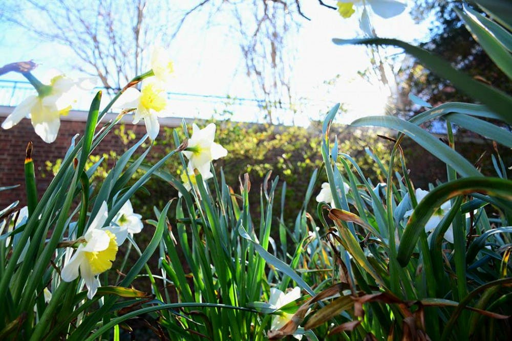 The University&nbsp;has tried to increase&nbsp;the sustainable&nbsp;efficiency of buildings around Grounds&nbsp;by focusing on issues&nbsp;like water usage, energy usage&nbsp;and&nbsp;waste production.&nbsp;