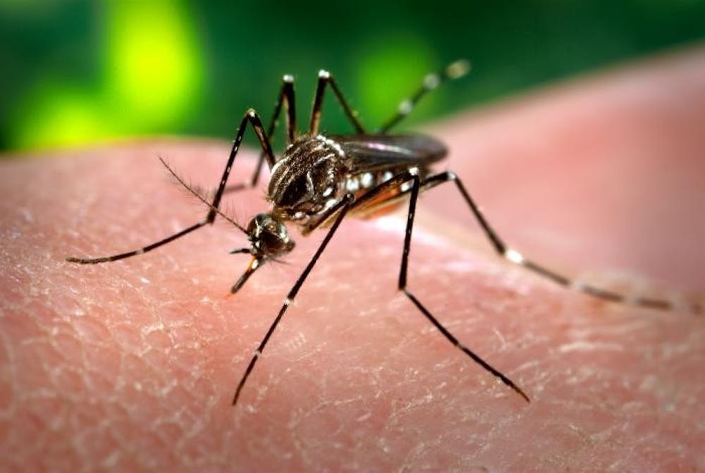 <p>The mosquito-borne&nbsp;virus has been linked to severe birth defects when contracted by pregnant women. These defects include microcephaly &mdash; the development of small brains or heads in infants &mdash; which has been seen recently at an abnormal rate in countries like Brazil.</p>