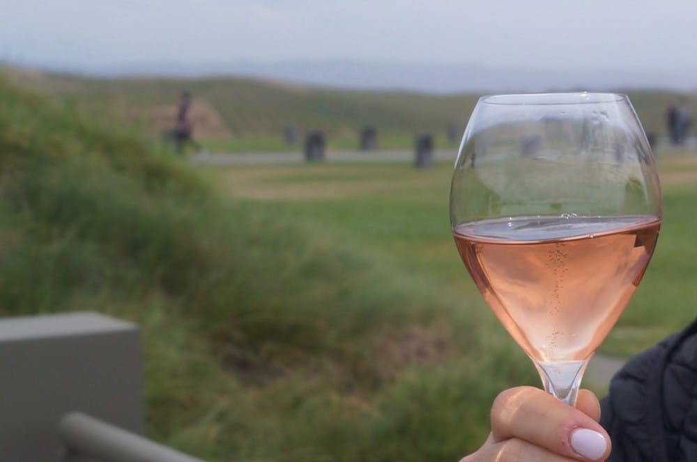 Vineyards, close to the hearts of many in Charlottesville, have been feeling the effects of climate change quite acutely this year. &nbsp;&nbsp;&nbsp;&nbsp;&nbsp;&nbsp;&nbsp;&nbsp;&nbsp;&nbsp;&nbsp;&nbsp;&nbsp;&nbsp;&nbsp;&nbsp;&nbsp;&nbsp;&nbsp;&nbsp;&nbsp;&nbsp;&nbsp;&nbsp;&nbsp;&nbsp;&nbsp;&nbsp;&nbsp;&nbsp;&nbsp;&nbsp;