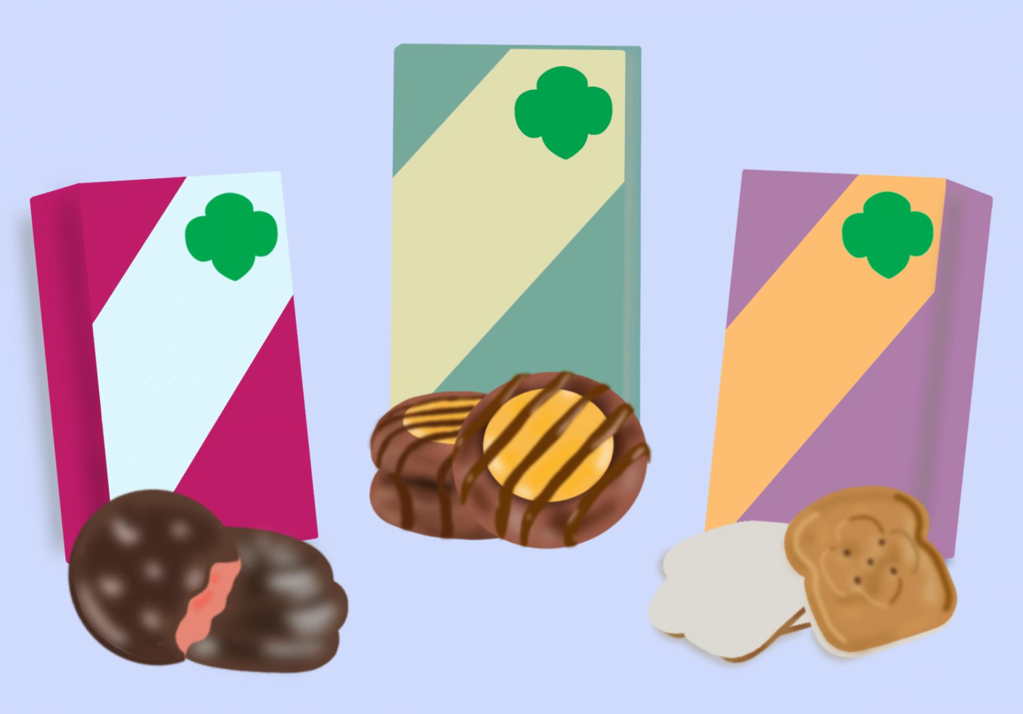 I recently tried some of the newest cookie flavors, Adventurefuls, Raspberry Rally and Toast Yay! to provide my recommendations on the classic snack.