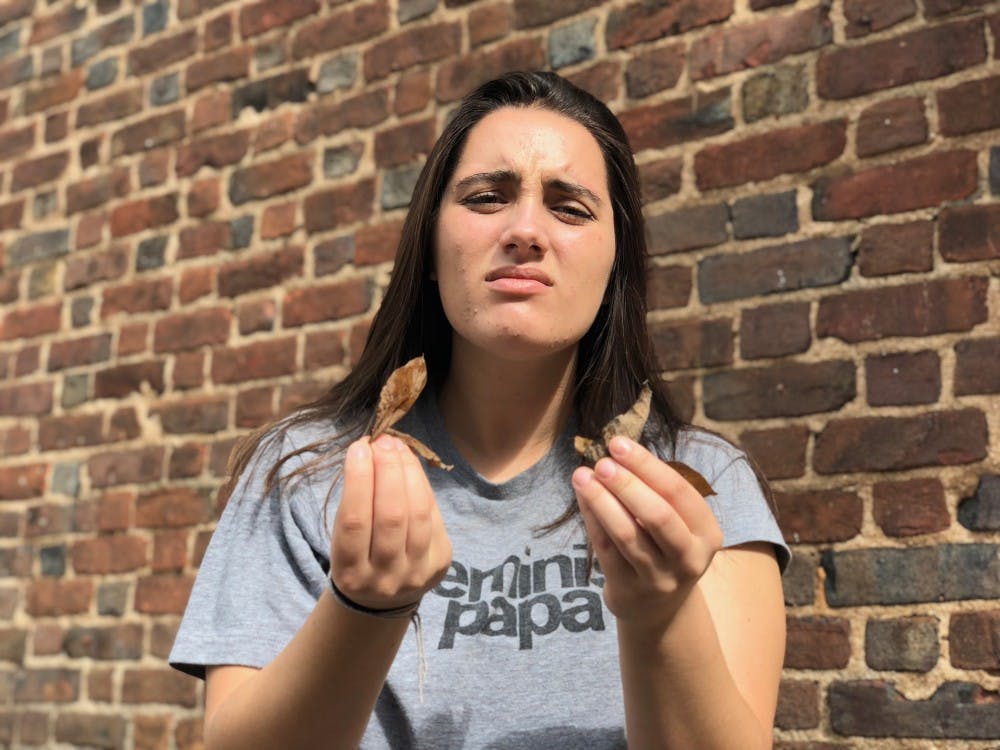 If this is the attitude you’re going to have this whole semester, well, you can just leaf us alone.&nbsp;