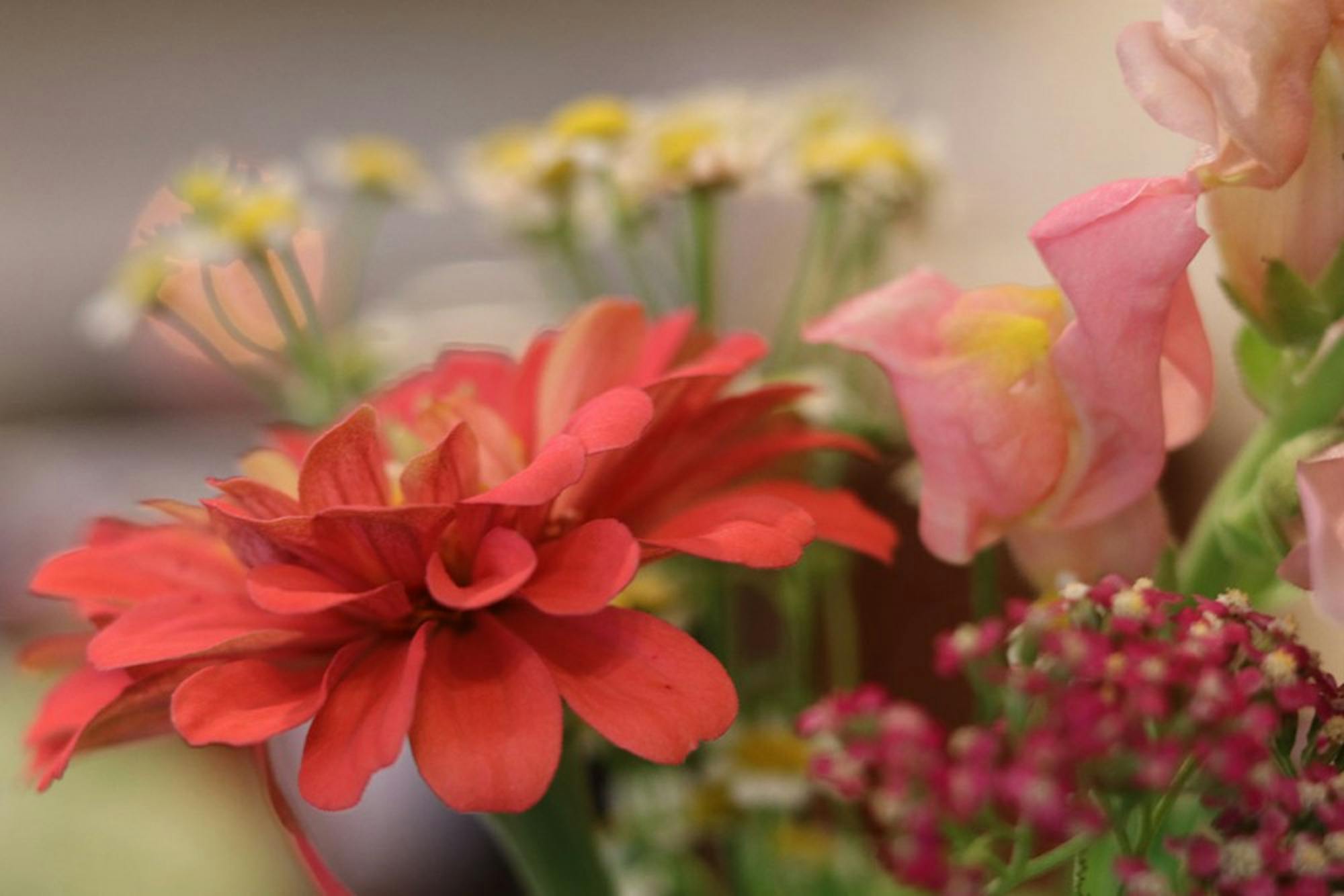 hu-flower-slindamood