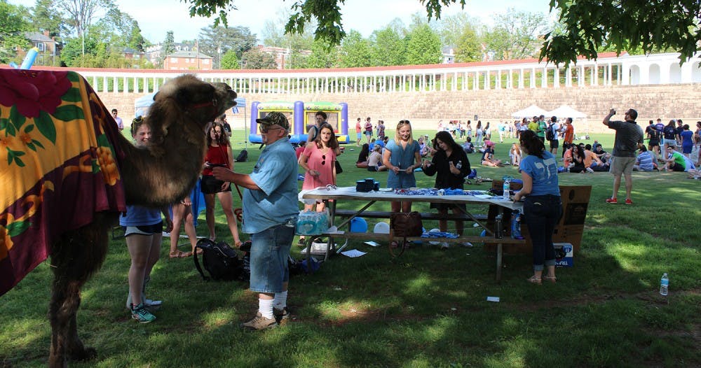 Students pet and took pictures with the live camel at Israel Fest