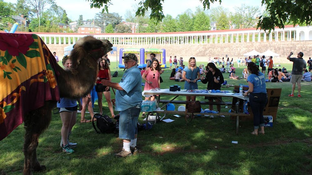 Students pet and took pictures with the live camel at Israel Fest