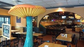 Mellow Mushroom hosts Trivia Night every Wednesday at 9 p.m.