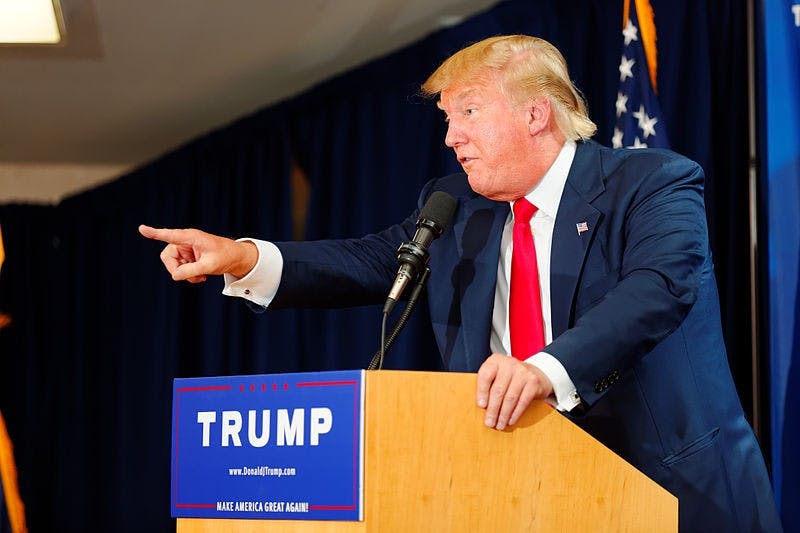 Reimer's top proposals include building a wall between the Law School and the Darden School.