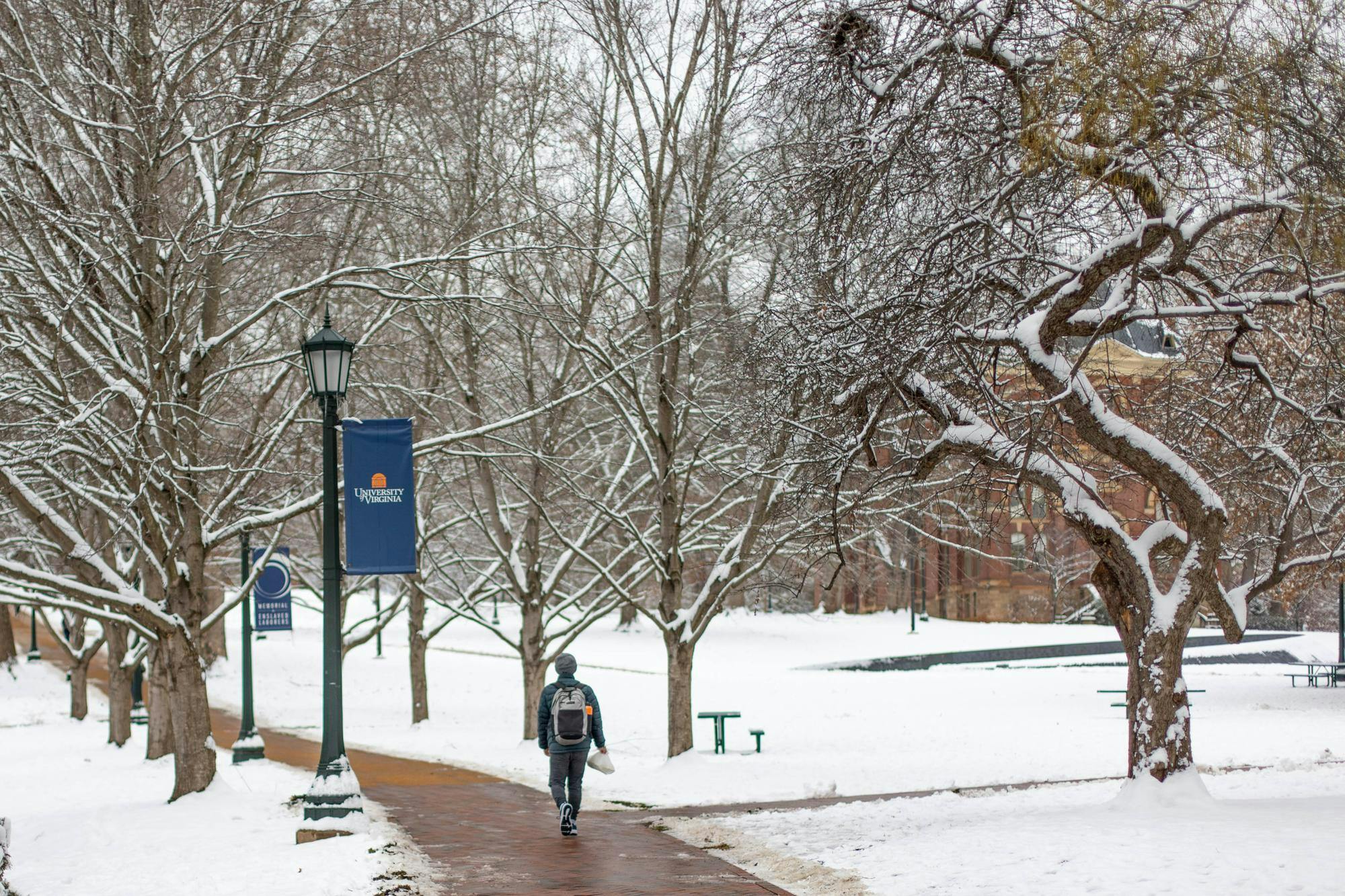 On-Grounds and online J-term courses are run by the Office of the Executive Vice President and Provost.