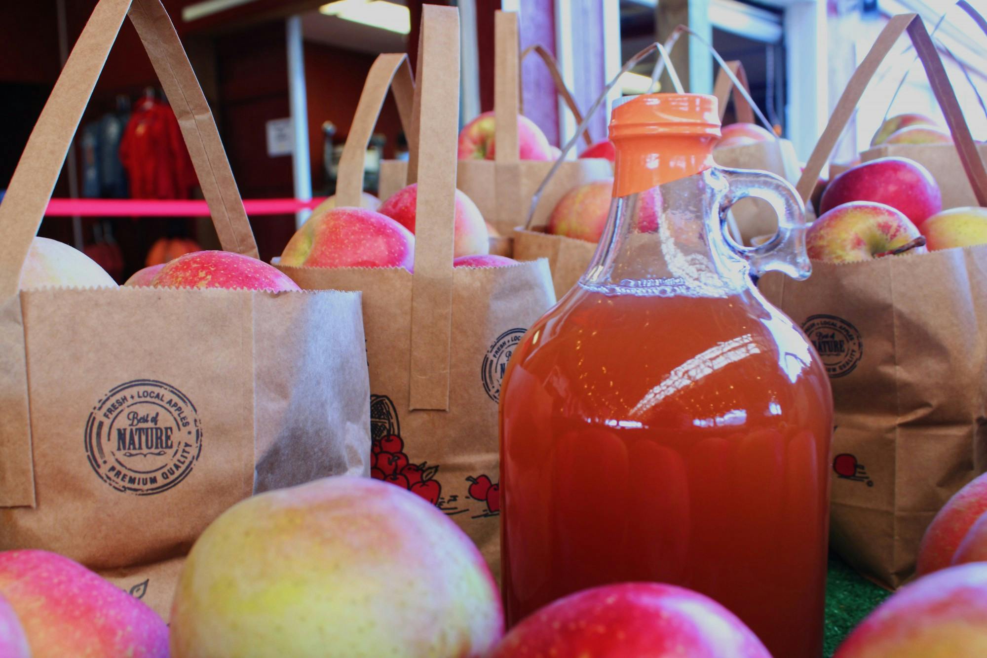 Apple cider is a staple of the fall season and it is so much more than a beverage. It is versatile, it is tasty, it is nutritious — sort of. 