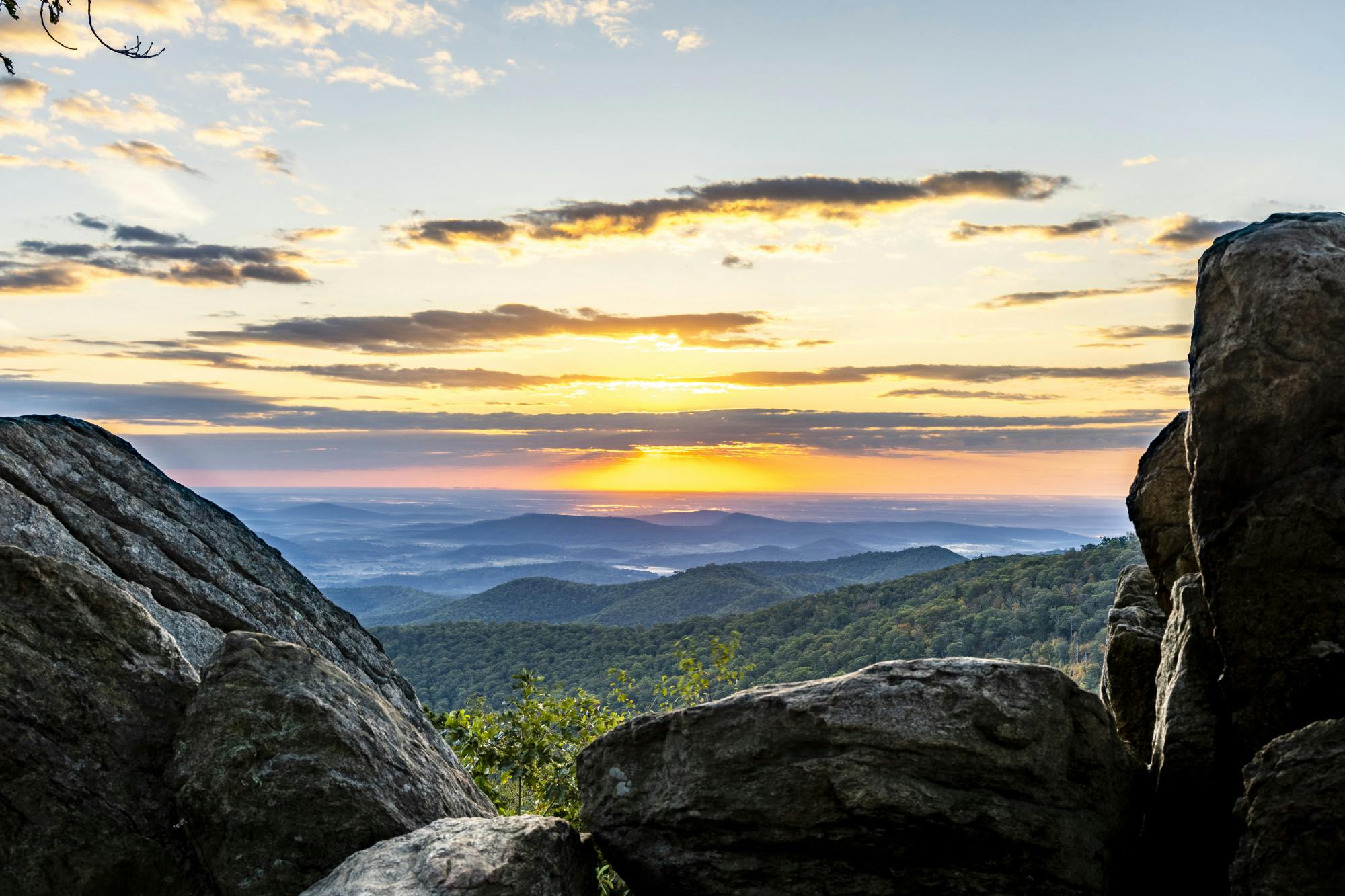 Although these programs work to reduce the opportunity gap and increase educational accessibility for rural students, the University needs to move beyond simply encouraging rural Virginians to pursue its quality education.&nbsp;