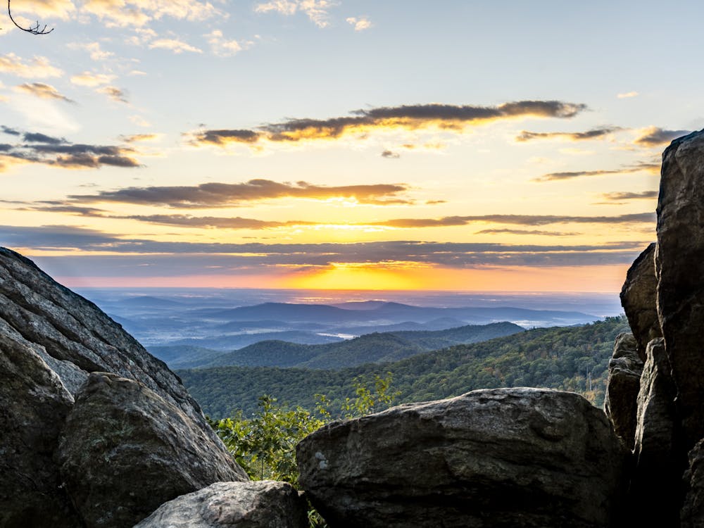 Although these programs work to reduce the opportunity gap and increase educational accessibility for rural students, the University needs to move beyond simply encouraging rural Virginians to pursue its quality education. 