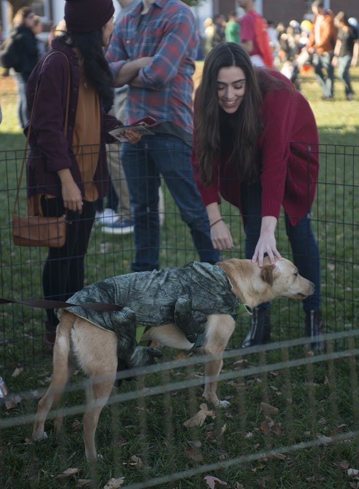 Puppies for a Purpose&nbsp;was planned as part of a COMM 3200 Project Management assignment by fourth-year Commerce students Brewer Congleton, Hayden Rushtin, Noah Craig, Nathan Gemmell and Evan Childress.