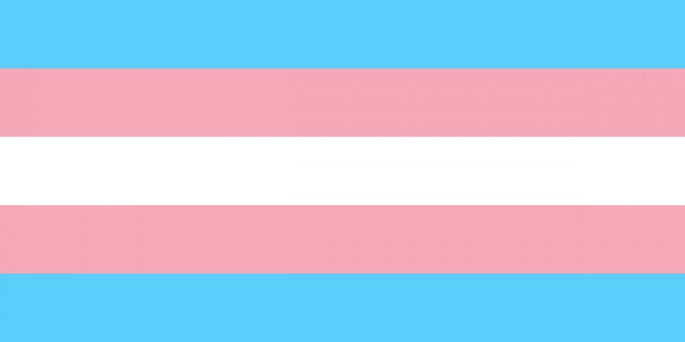 <p>The University must take <a href="https://www.facebook.com/queeratuva/posts/1522167114469787">concrete steps</a> to increase its support for transgender members of the community.</p>