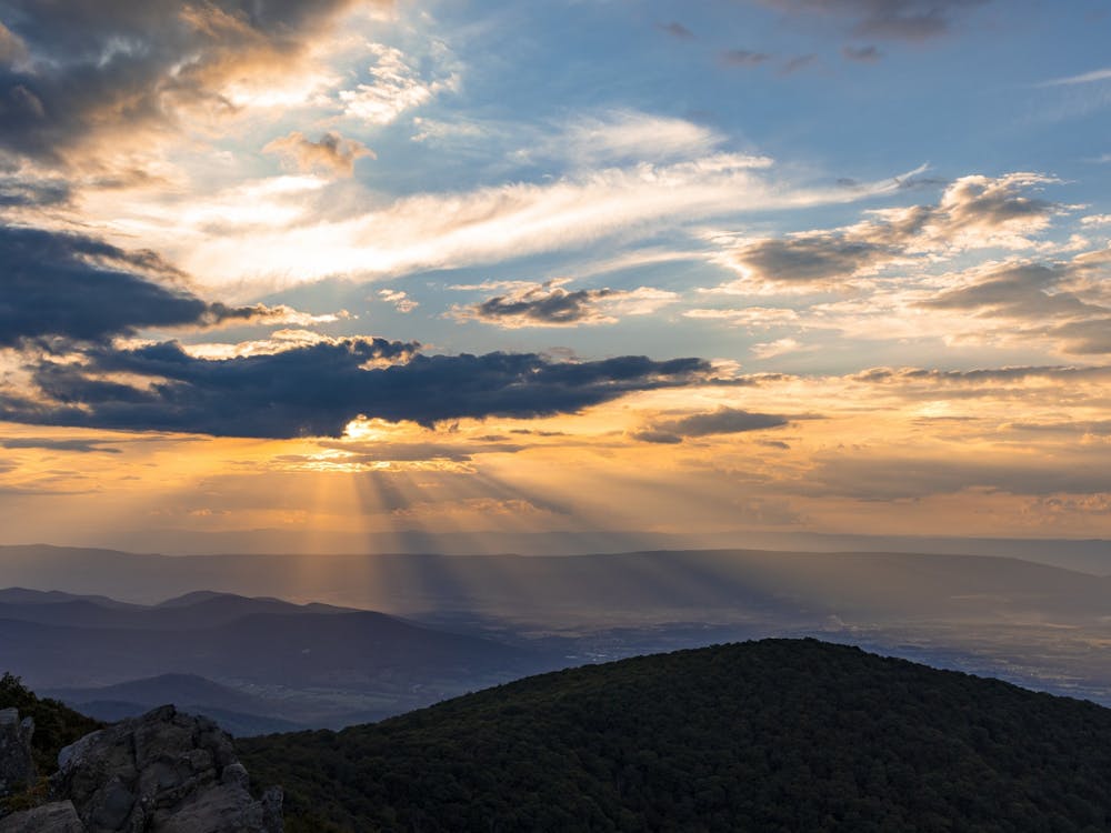 Take a step away from Grounds and watch the rolling hills from the comfort of your —or a friend’s — car along the Skyline Drive.