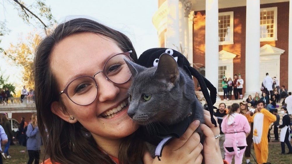 In case you’re interested in celebrating a beautiful cat instead of some dead guy in the ground, please address all cards to Ancho, The Cavalier Daily Cat. 