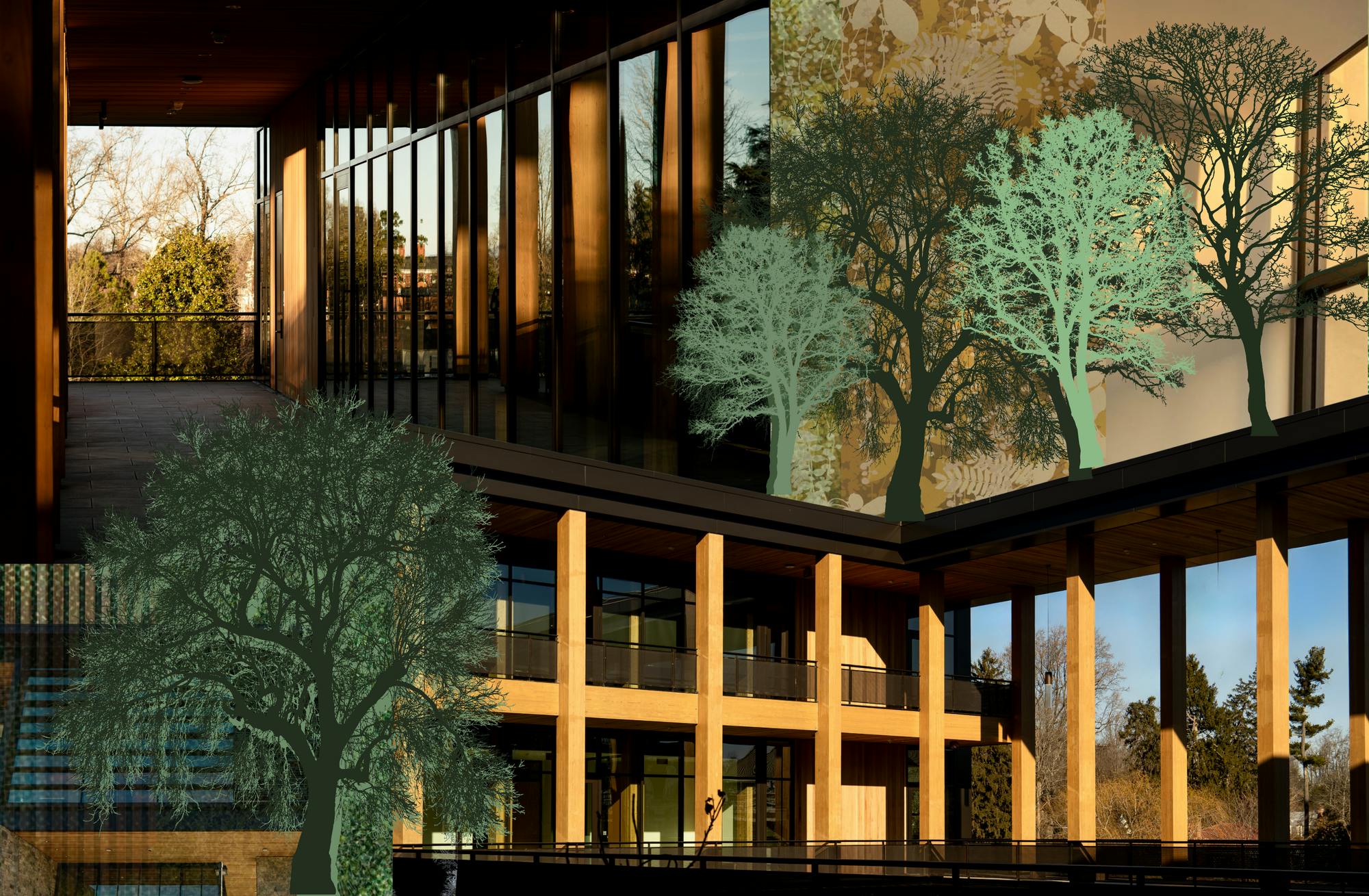 Biophilia is the idea that our buildings, cities, and landscapes should coexist with nature, further expanding our connection to nature rather than separating from it.