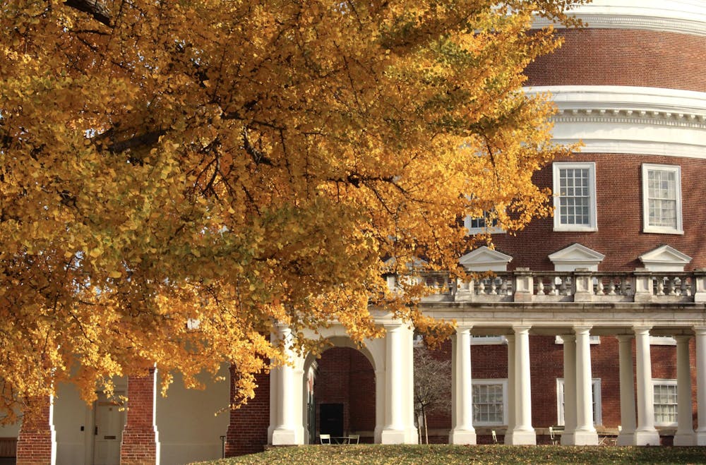 ginkgo5-katiehall-111925