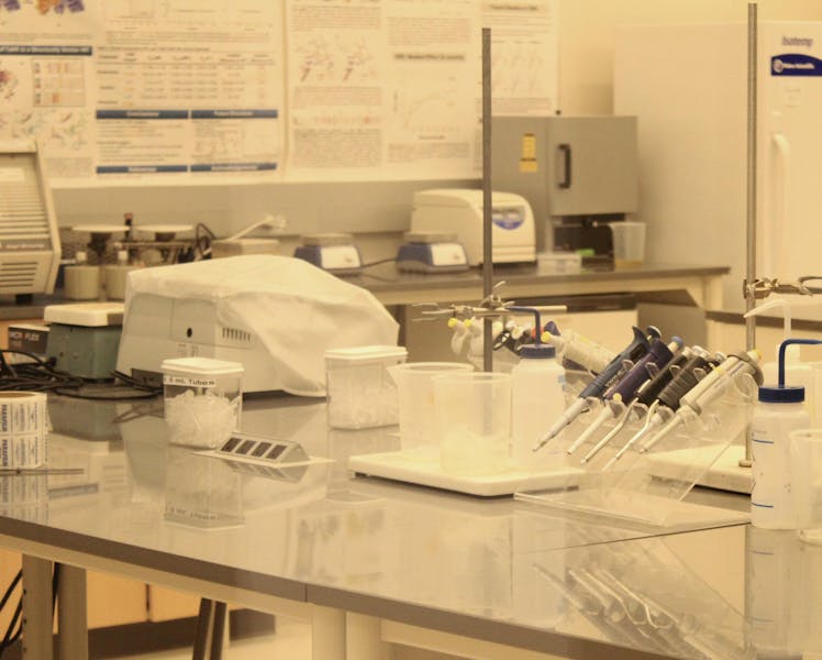 Office of Engagement hosts Lori McMahon to discuss research at the University
