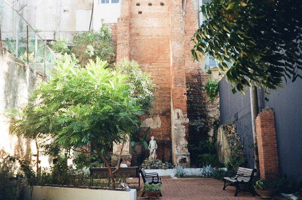img-6972