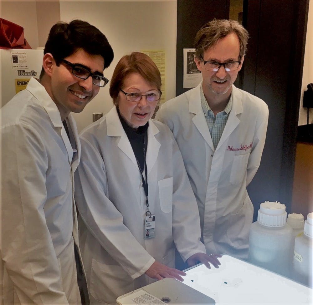 Shadi Khalil, Lorrie Delehanty and Adam Goldfarb found a novel relationship between bone marrow cell receptors and red blood cell production.&nbsp;