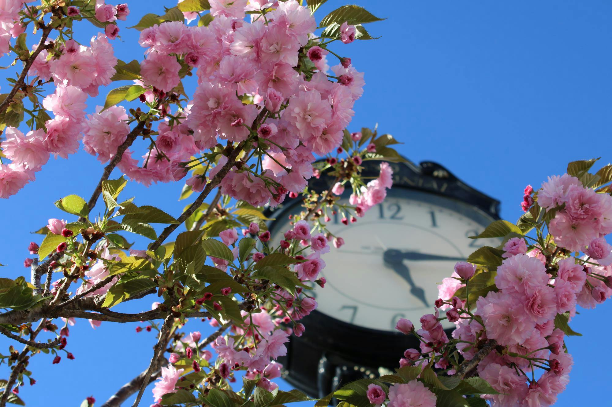 manteo-katiehall-9